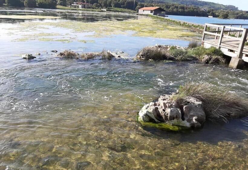 فندق Playa La Arena