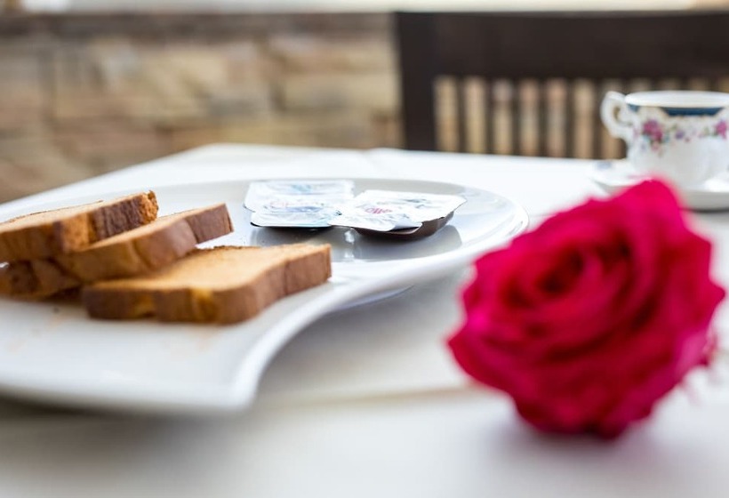 فندق Queen Daisy