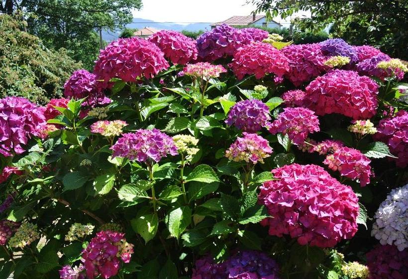 فندق Rural El Algaire