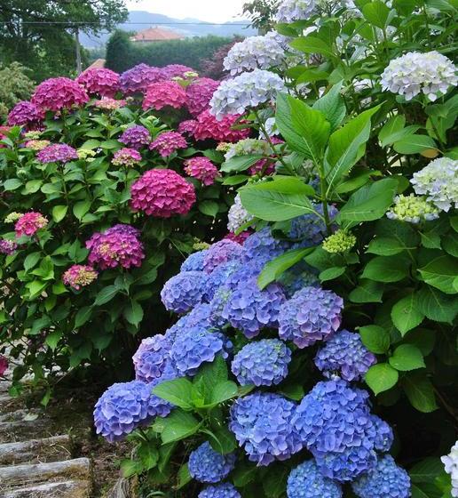 فندق Rural El Algaire