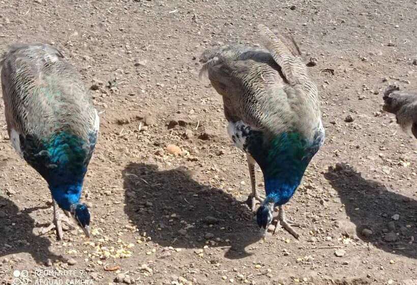 酒店 Rural La Raya 1866