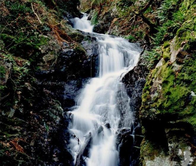 호텔 Rural Montealegre