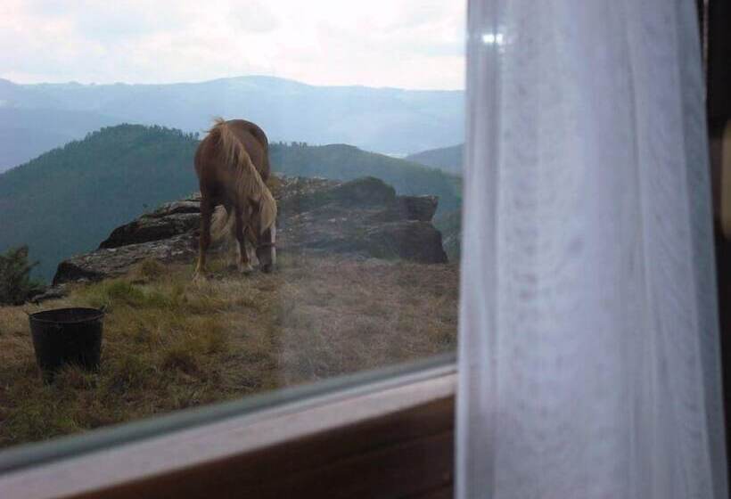 فندق ريفى Rural Yeguada Albeitar