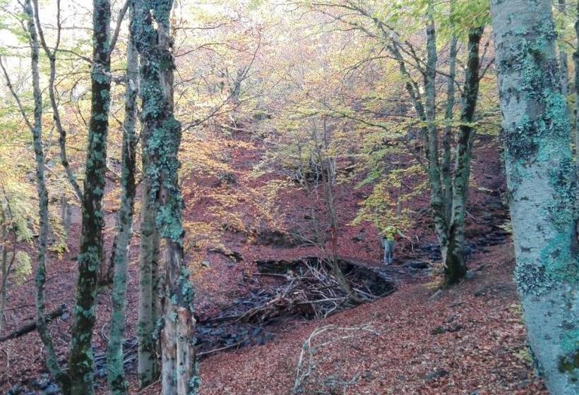 בית מלון כפרי Rural Y Spa La Senda De Los Caracoles