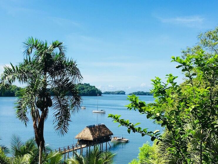 ホテル Seagull Cove Resort