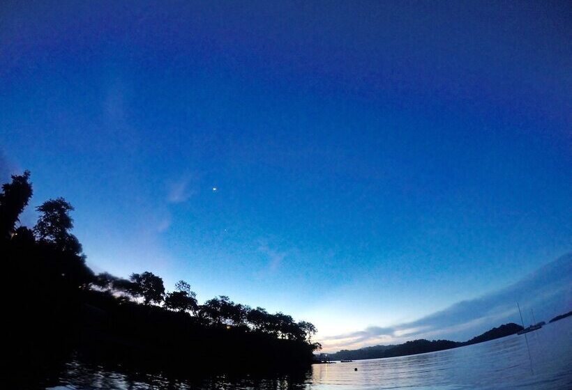 ホテル Seagull Cove Resort