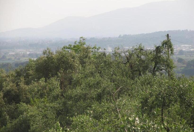 Отель Tarabaralla