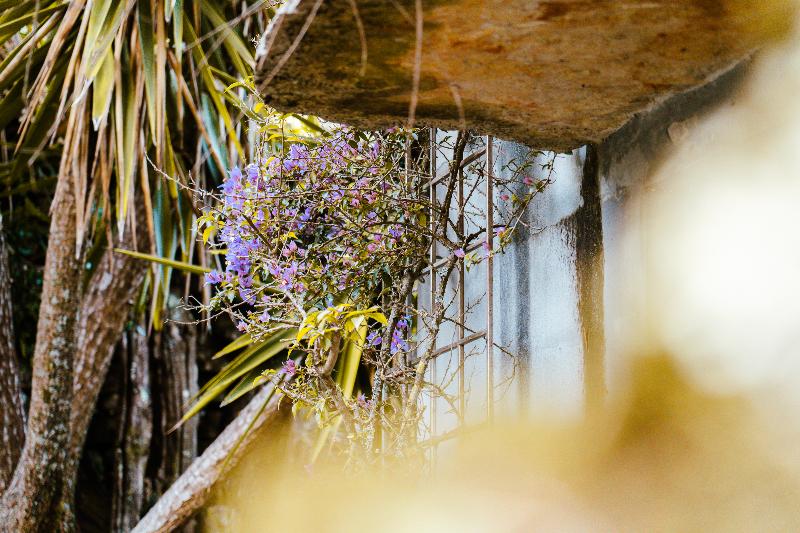 호텔 Villa Pedra Natural Houses