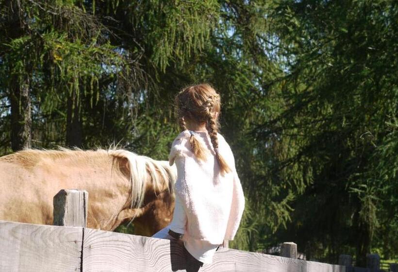 בית מלון כפרי Wieslhof