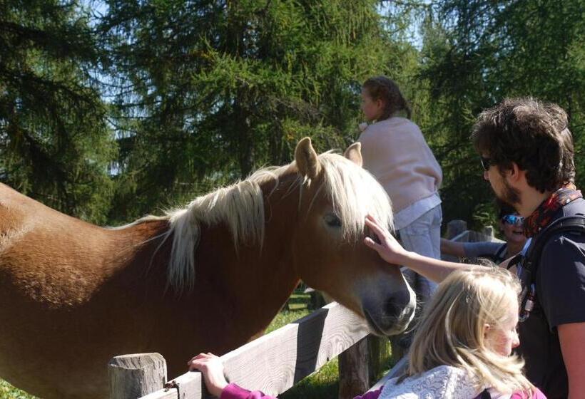 בית מלון כפרי Wieslhof