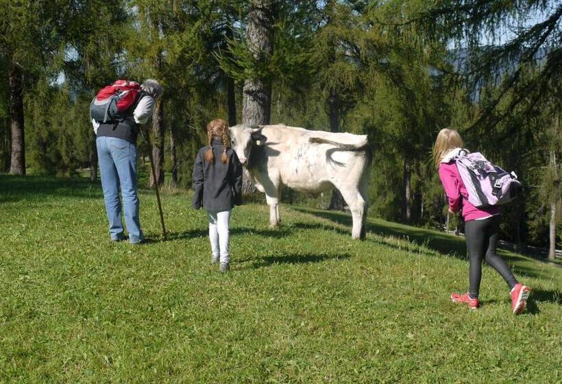 בית מלון כפרי Wieslhof