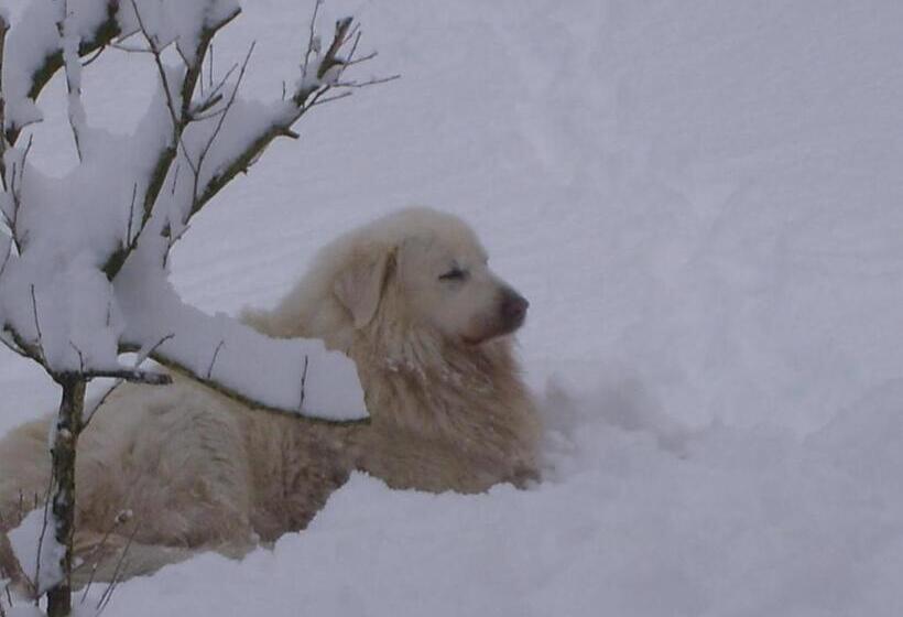 Kuko Hotel   Adults Only