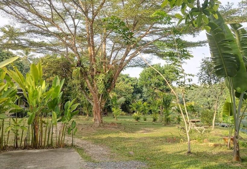 פנסיון Baan Bua Cottage Sha Extra Plus B5510