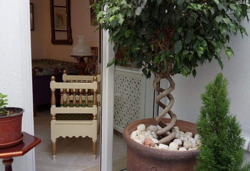 پانسیون El Patio Courtyard House