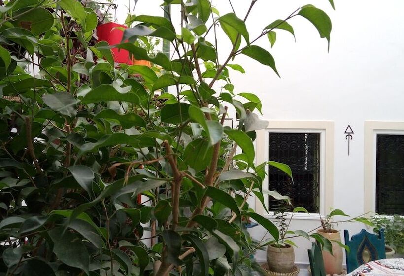 پانسیون El Patio Courtyard House