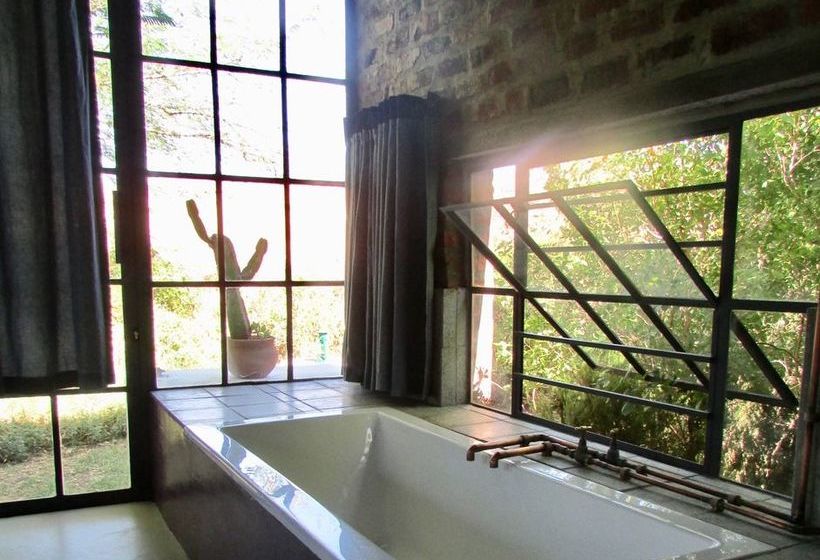 بنسيون Essere Lodge