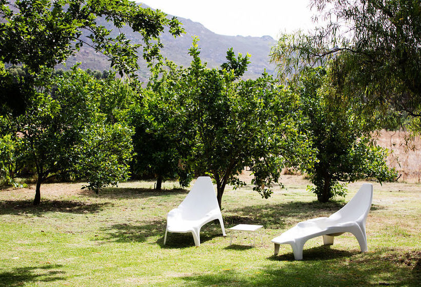 بنسيون Essere Lodge