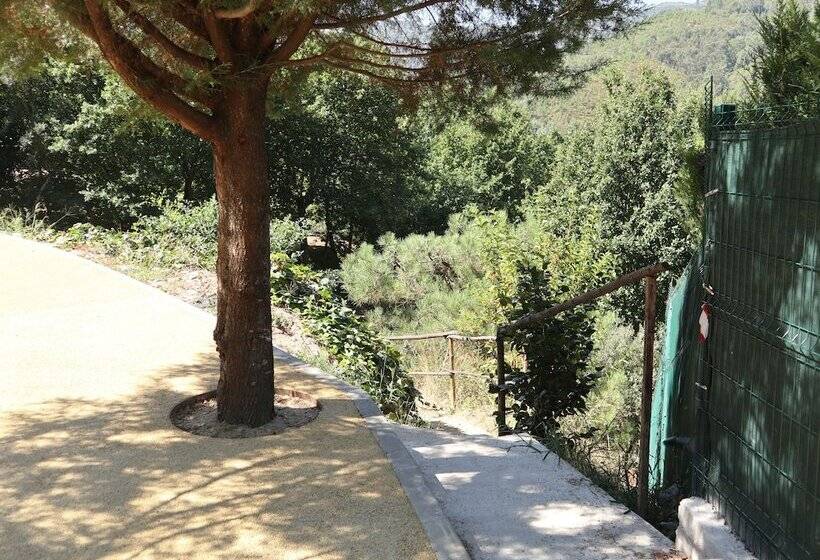 بنسيون Cantinho Das Oliveiras