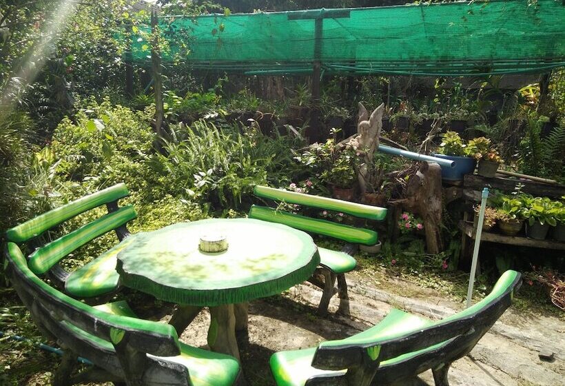 펜션 Mr Jan Guesthouse