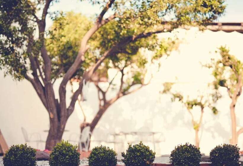 פנסיון Punta Sallustro Lipari