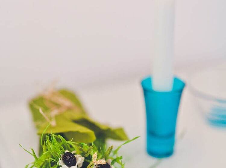 פנסיון Punta Sallustro Lipari