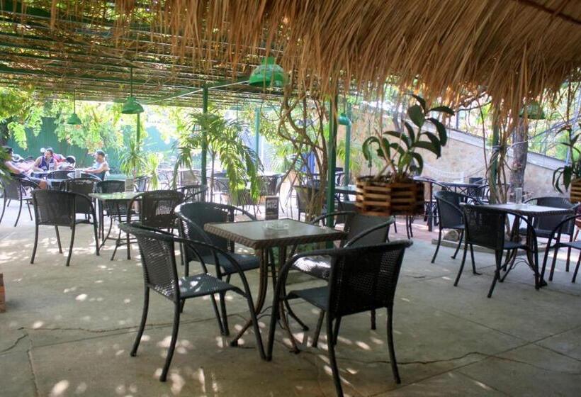 بنسيون The Magic Sponge