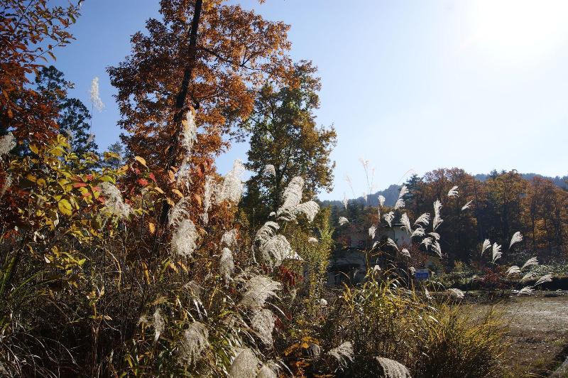 Pension Good Luck Takayama