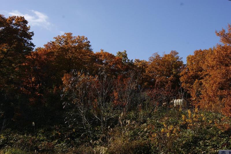 Pension Good Luck Takayama