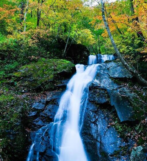 Pension Good Luck Takayama