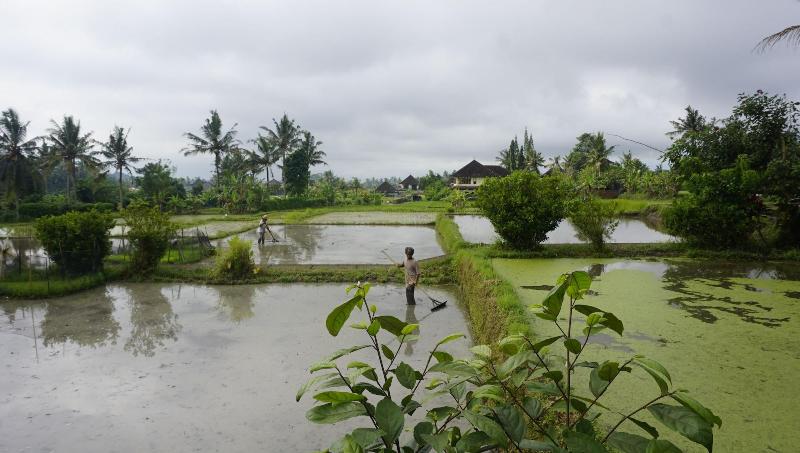 Sari Bamboo Bungalows