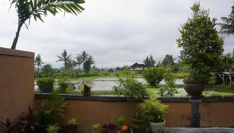 Sari Bamboo Bungalows