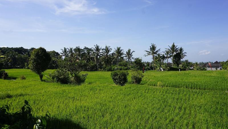 Sari Bamboo Bungalows