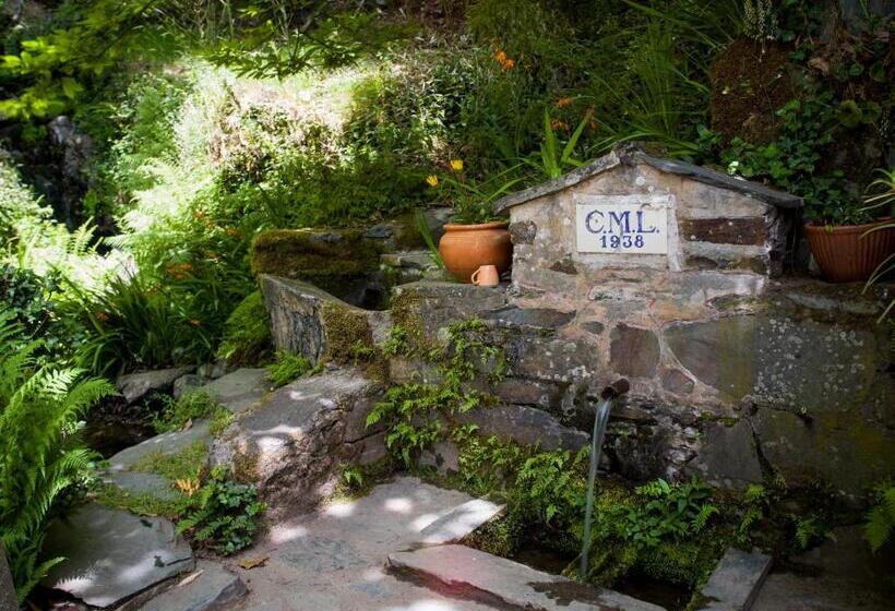 הוסטל Cerdeira  Home For Creativity