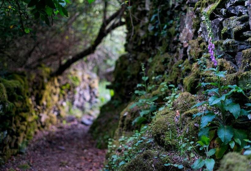 הוסטל Cerdeira  Home For Creativity