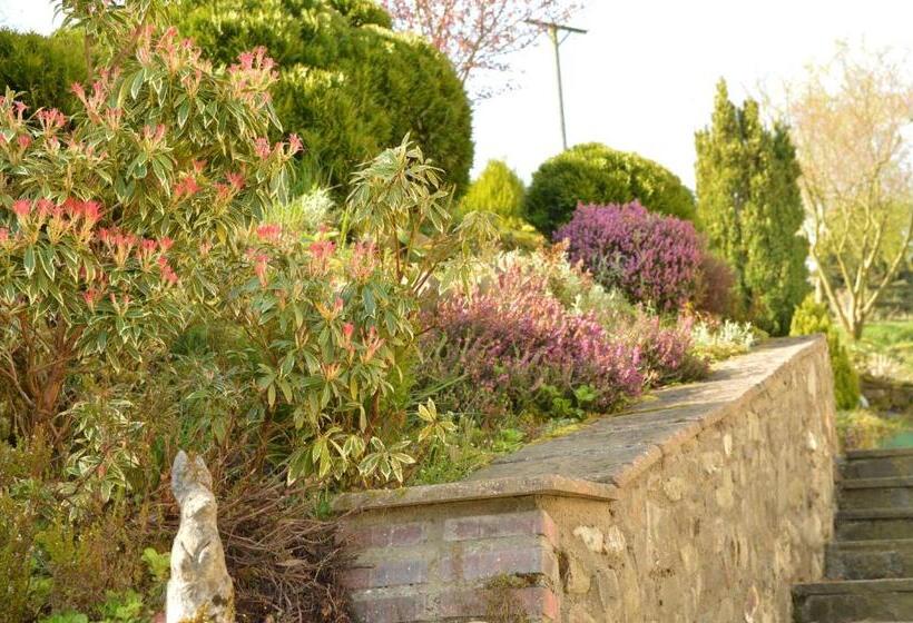 ベッドアンドブレックファースト Bryn Hebog