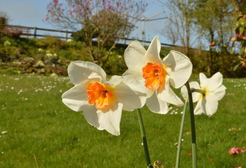 ベッドアンドブレックファースト Bryn Hebog