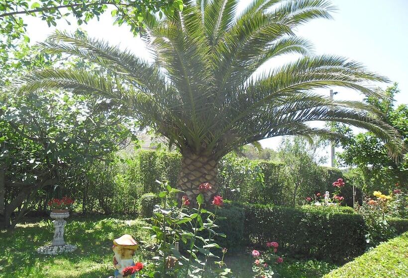 住宿加早餐  Guesthouse Mira