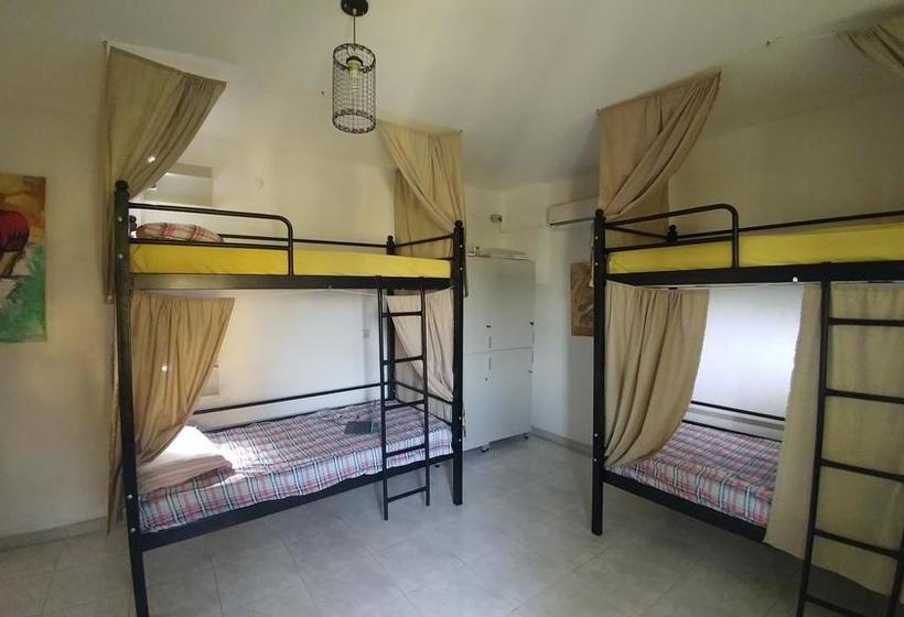 مسافرخانه Green Garden Guesthouse