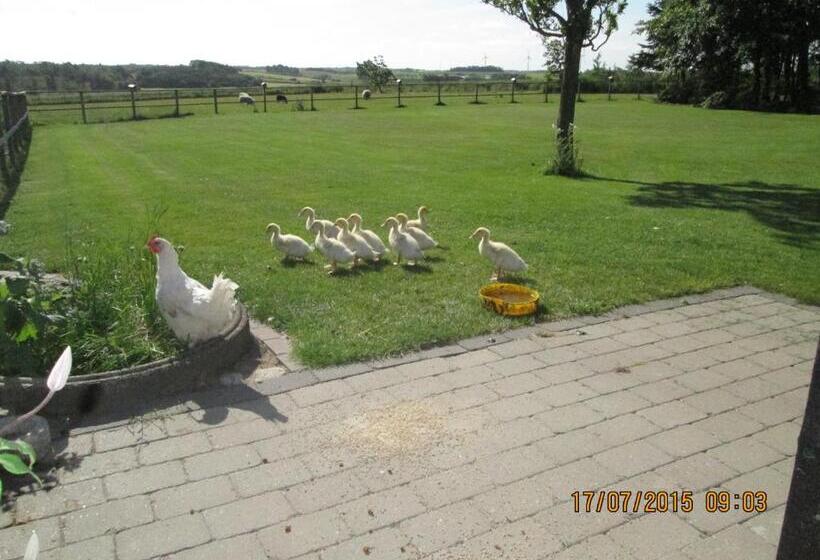 Хостел Bakkegården Homestay