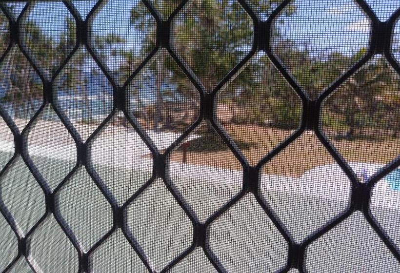 هتل Bluepango Guest House