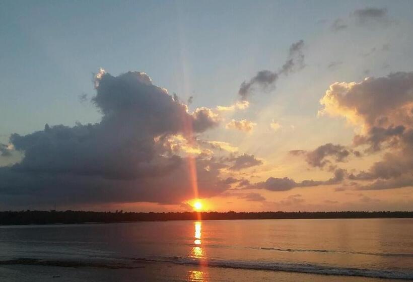 هتل Bluepango Guest House