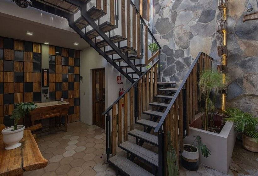 هتل Casa Andreu