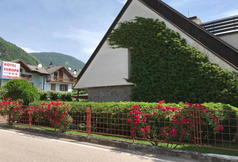בית מלון כפרי Europa Cembra
