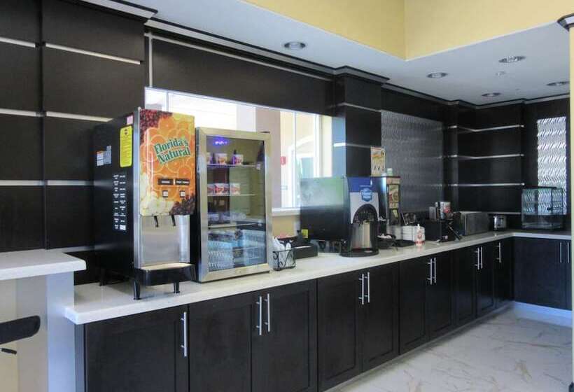 酒店 Executive Inn And Suites Tyler