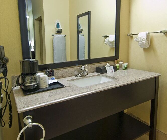 酒店 Executive Inn And Suites Tyler