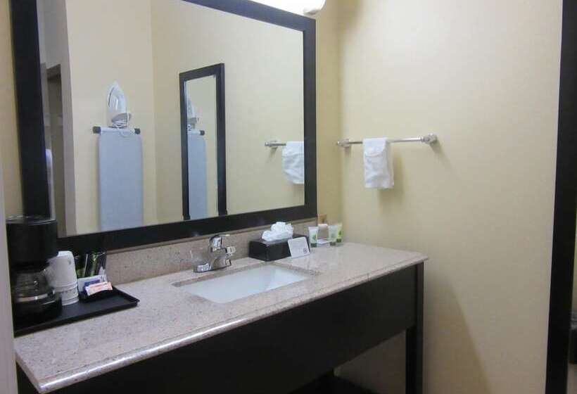 酒店 Executive Inn And Suites Tyler