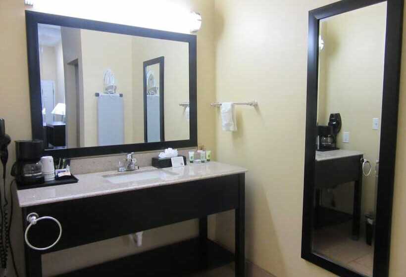 酒店 Executive Inn And Suites Tyler