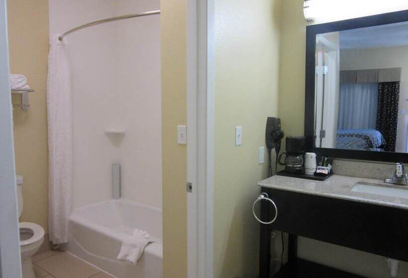 酒店 Executive Inn And Suites Tyler