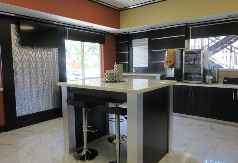 酒店 Executive Inn And Suites Tyler