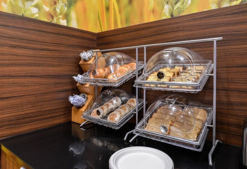 هتل Fairfield Inn & Suites By Marriott Eugene East/springfield